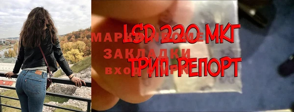 бошки Пересвет