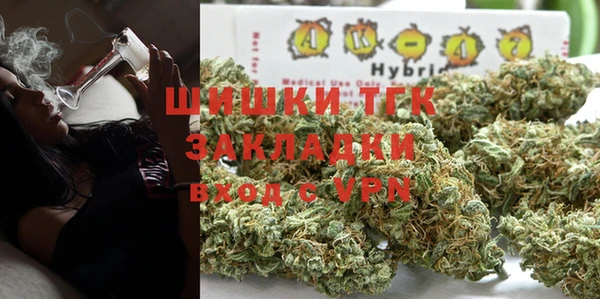 бошки Пересвет