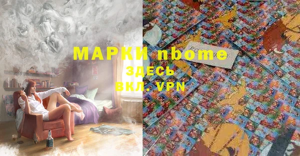 бошки Пересвет