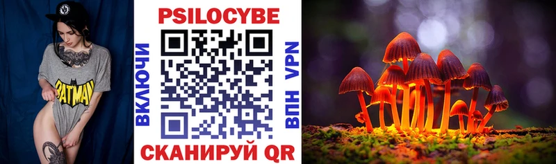 ОМГ ОМГ зеркало Старая Русса Псилоцибиновые грибы Magic Shrooms