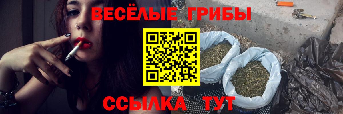 наркота  Вход с VPN  Старая Русса  Псилоцибиновые грибы Cubensis 